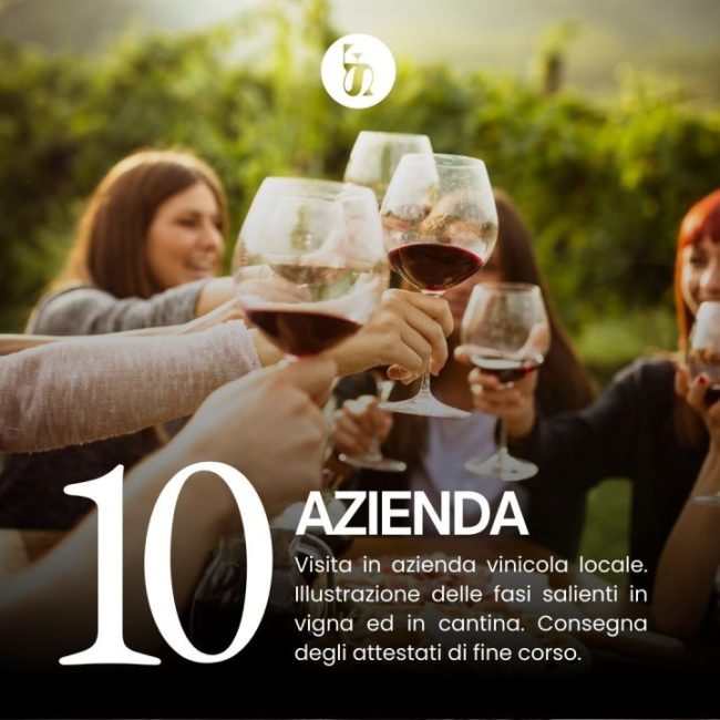 corso-sommelier-napoli-campania-caserta-programma-riconosciuto6