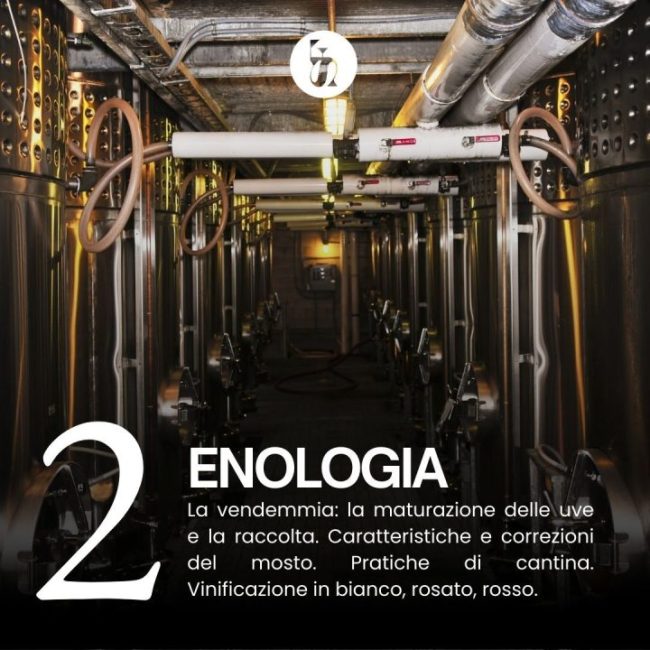 corso-sommelier-napoli-campania-caserta-programma-riconosciuto8