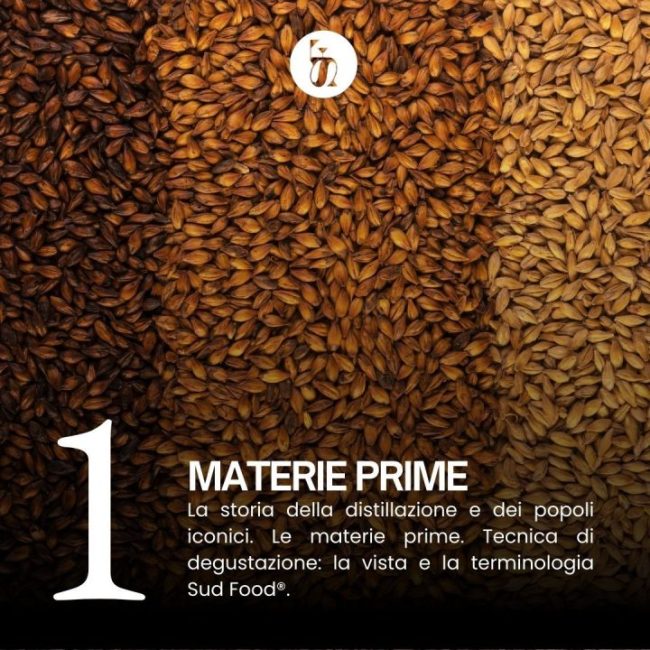 corso-degustazione-whisky-napoli-campania1