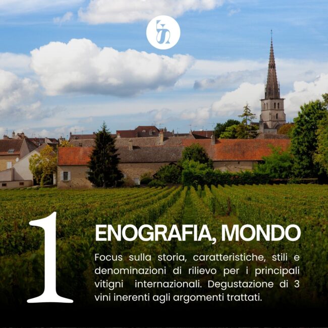 Corso Sommelier Livello 3 - 1