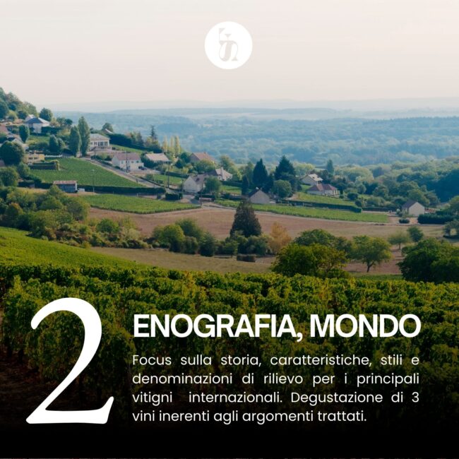 Corso Sommelier Livello 3 - 2