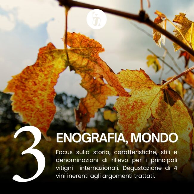 Corso Sommelier Livello 3 - 3