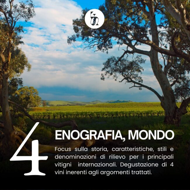 Corso Sommelier Livello 3 - 4