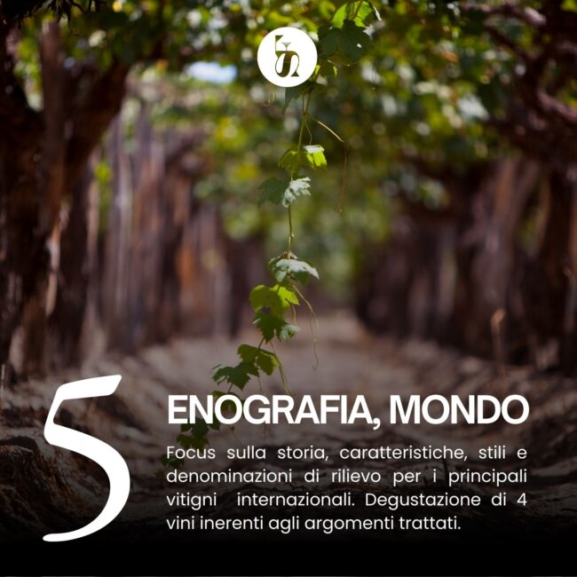 Corso Sommelier Livello 3 - 5