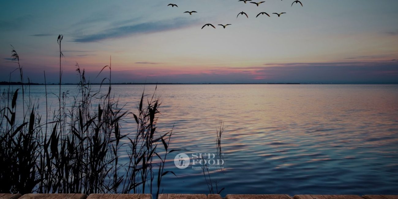 lesina-gargano-puglia-enogastrnomia