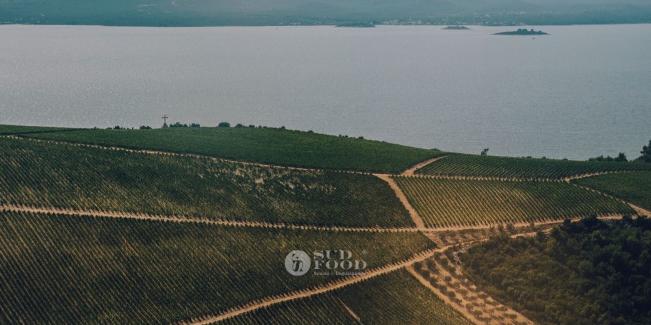 viaggio-enogastronomico-croazia